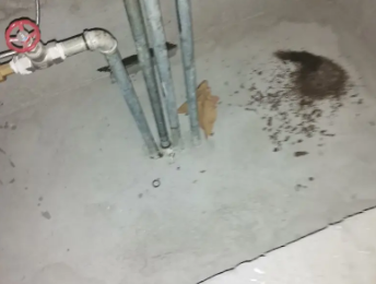 库尔勒卫生间测漏水价格明细